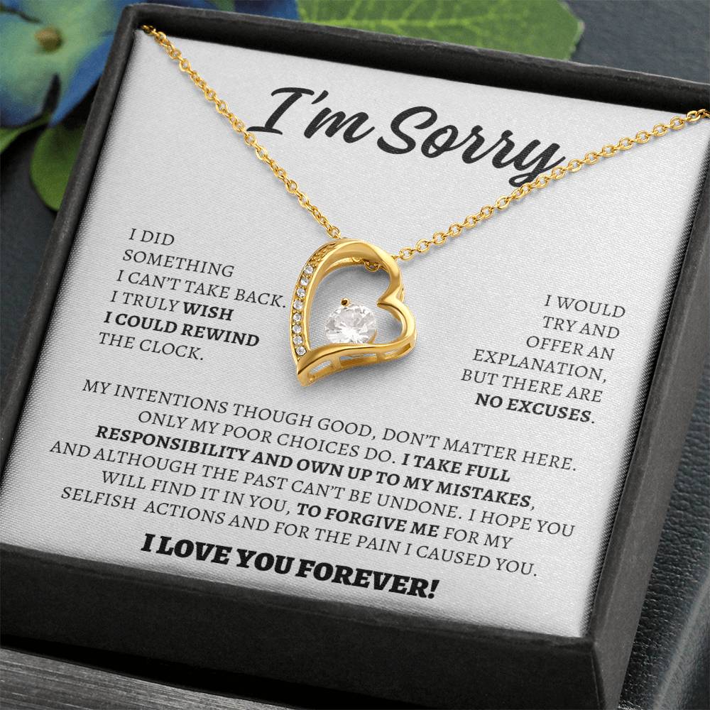 Apology Gift for Her - I Take Full Responsibility - Forever Love Necklace